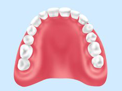 保険適用の義歯（レジン床義歯）